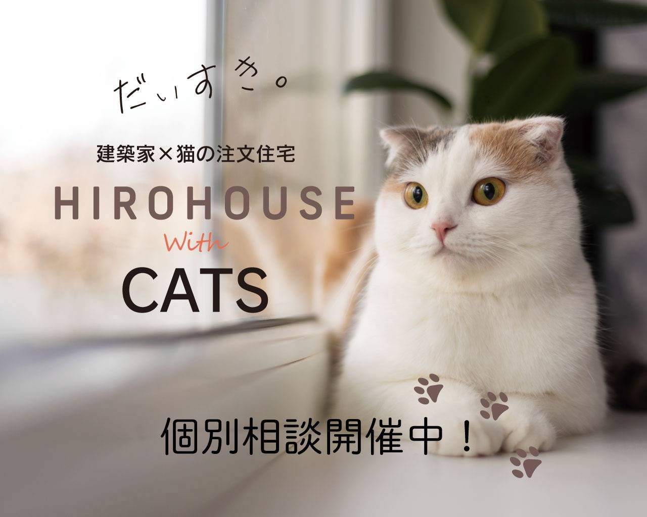 猫専門注文住宅 相談会開催中!